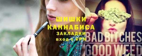 шишки Аркадак