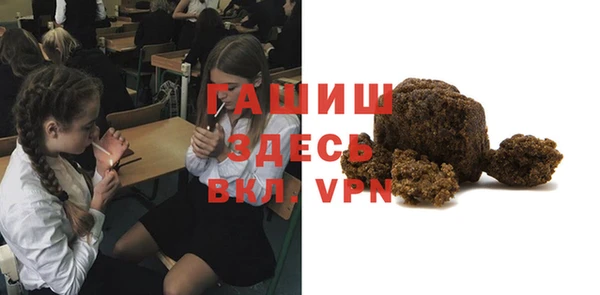 шишки Аркадак