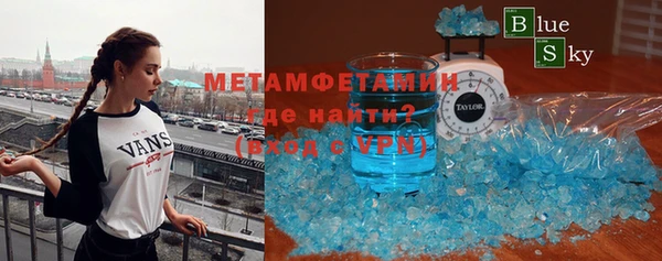 шишки Аркадак